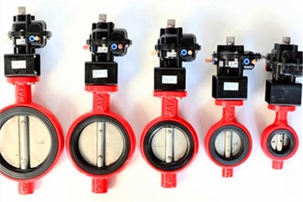 butterfly valve-05